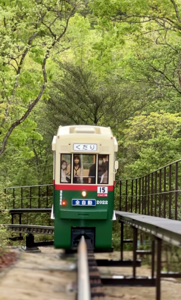 Dondoko Forest tram.